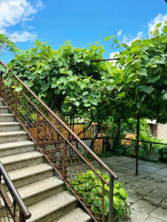 Achela's Guesthouse Borjomi Eksteriør billede