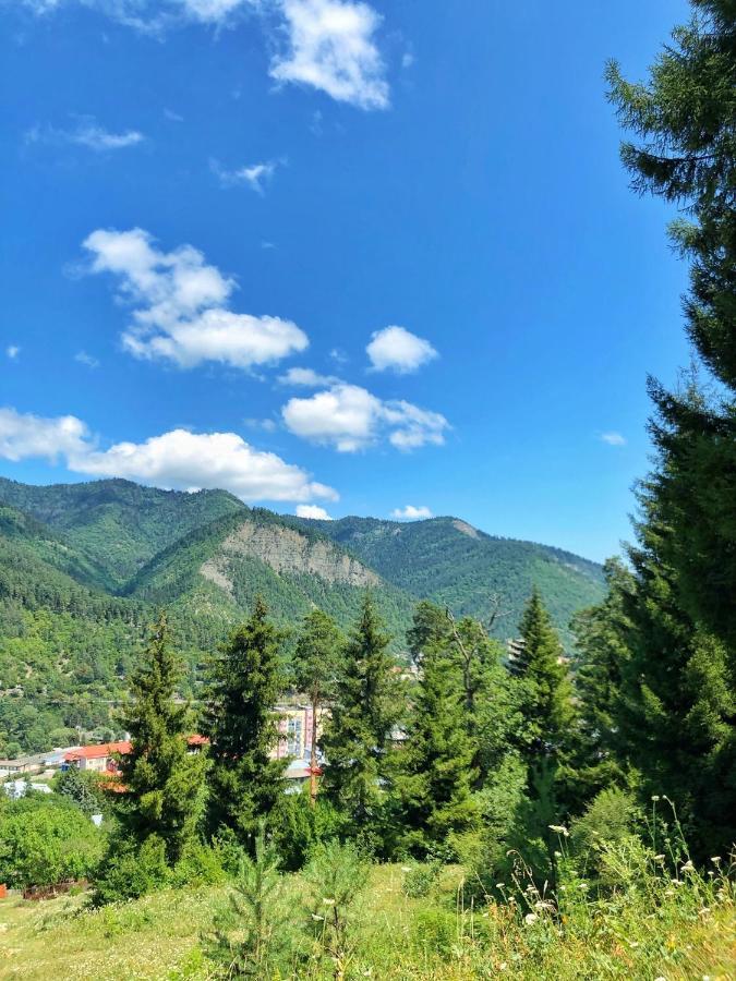 Achela's Guesthouse Borjomi Eksteriør billede