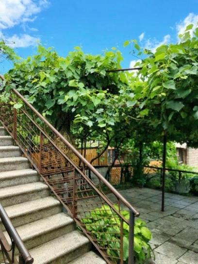 Achela's Guesthouse Borjomi Eksteriør billede